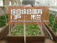 环境展示五