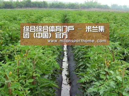 种植基地三