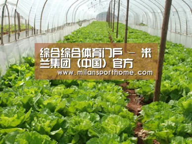 种植基地五