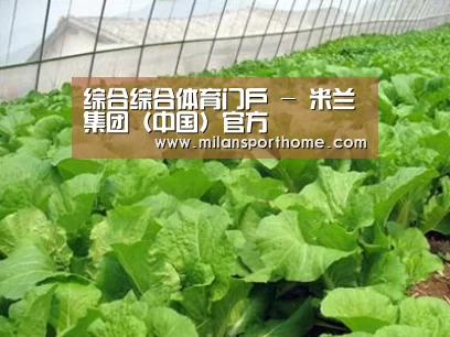 种植基地一