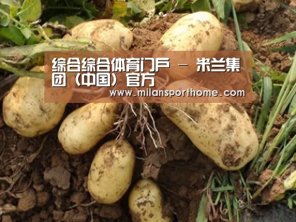 种植基地六