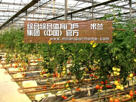 种植基地二(图1)