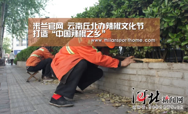 米兰数据
