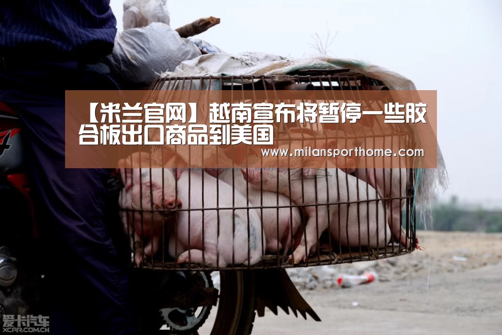 【米兰官网】越南宣布将暂停一些胶合板出口商品到美国(图1) 米兰官网