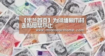 【米兰首页】为何缅甸木材走私屡禁不止(图3) 米兰官网