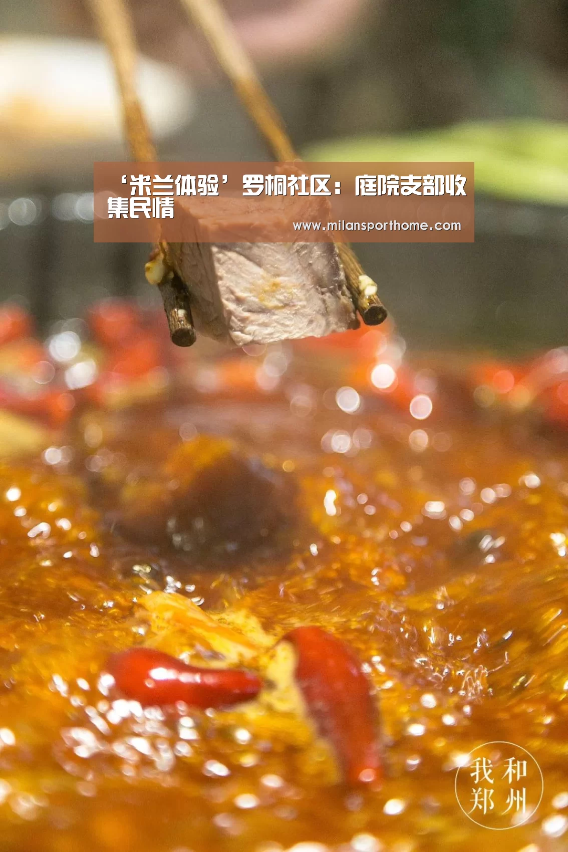 ‘米兰体验’罗桐社区:庭院支部收集民情(图1) 米兰首页