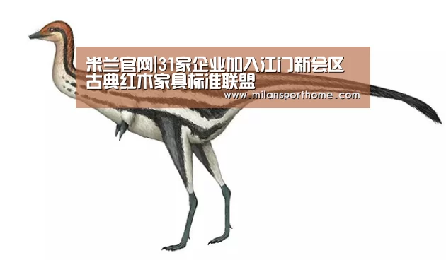 米兰官网|31家企业加入江门新会区古典红木家具标准联盟(图1) 米兰首页