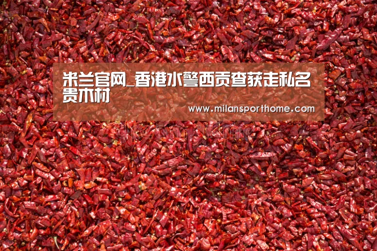 米兰官网_香港水警西贡查获走私名贵木材(图2) 米兰官网