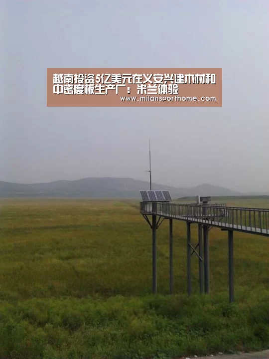 越南投资5亿美元在义安兴建木材和中密度板生产厂:米兰体验(图2) 米兰首页