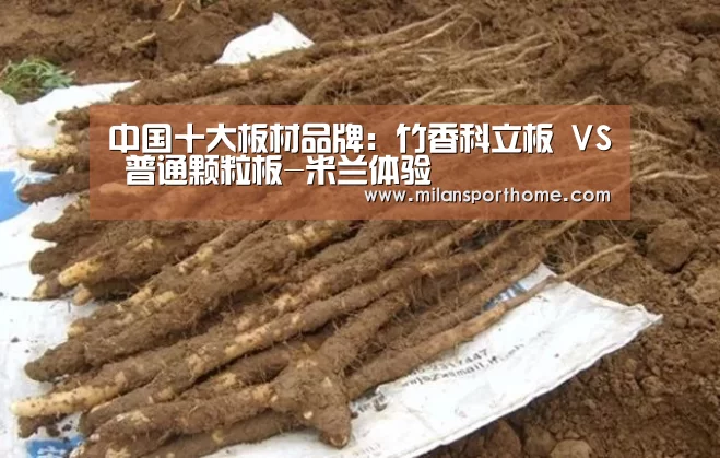 中国十大板材品牌:竹香科立板 VS 普通颗粒板-米兰体验(图1) 米兰官网