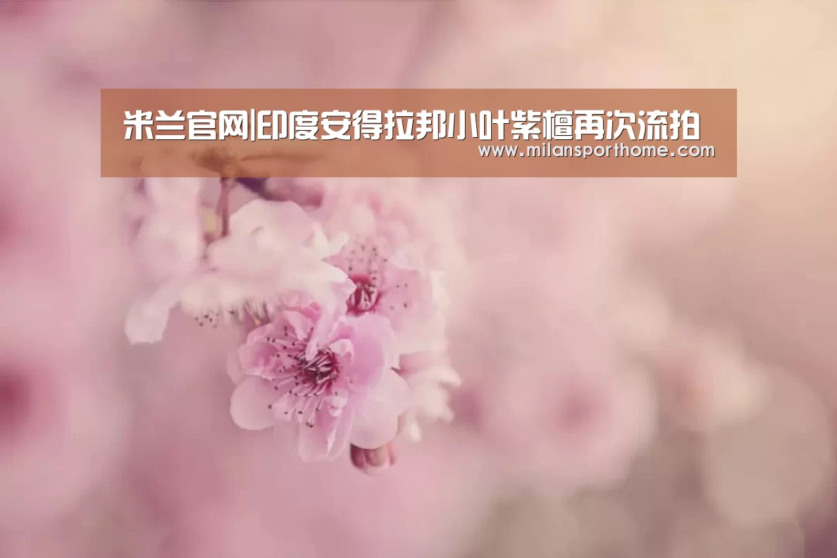米兰首页